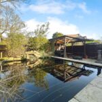 Pond