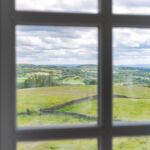 Window views