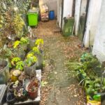 Rear Yard